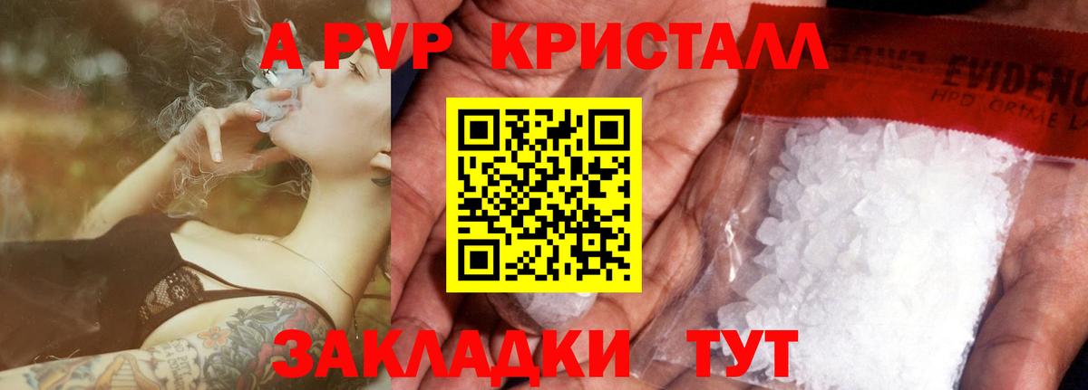A-PVP СК КРИС Назрань