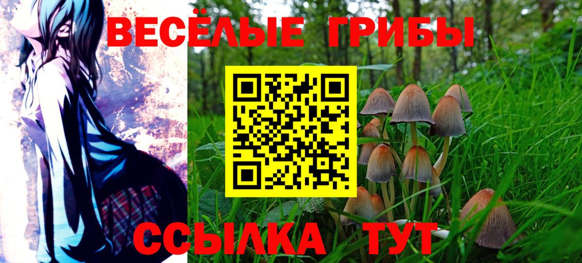 Галлюциногенные грибы мухоморы  Вход с VPN  Псилоцибиновые грибы мицелий  Назрань 