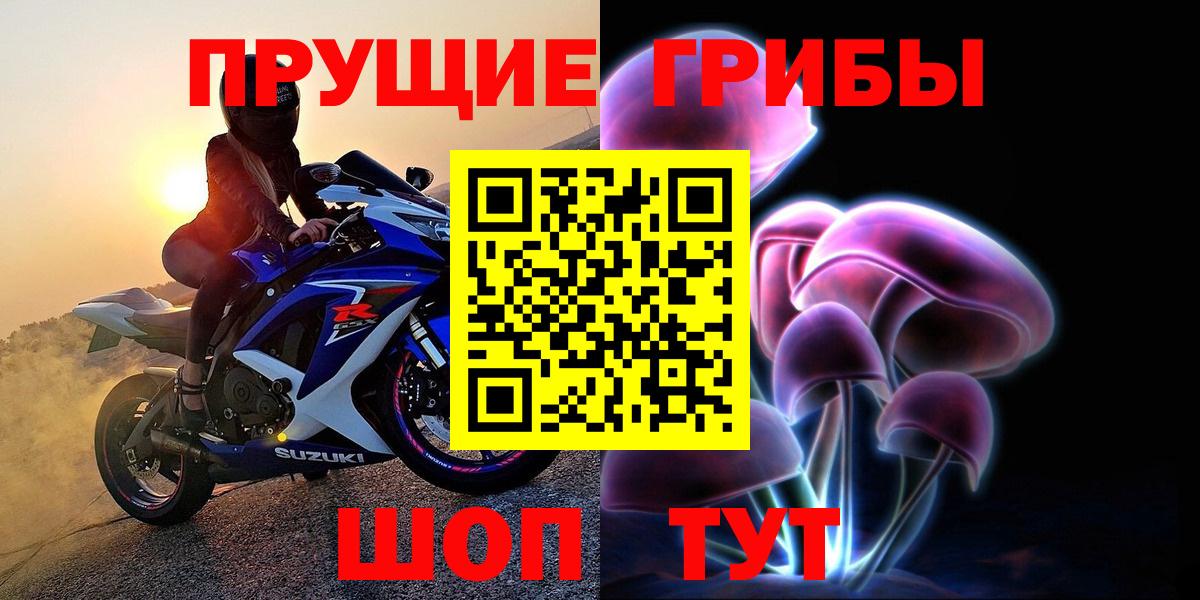 Галлюциногенные грибы Psilocybe Назрань